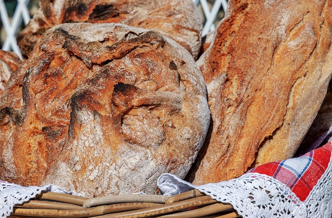 🥖 En France, les farines de blé sont catégorisées par types c'est ce qu'on appelle le T.
❓Le chiffre qui suit le T correspond à la teneur en minéraux, dans le jargon on appelle ça le "taux de cendre".
Pour obtenir ce taux, on brule 100g de farine pendant 2 heures à 900°C et on pèse le résidu. Une farine de Type 80 à 0,80g de résidu.
🥣Dans la pratique le chiffre correspond au degré de raffinage de la farine. Plus il est faible et plus la farine sera raffinée. C'est-à-dire qu'on va enlever l'écorce du blé et perdre en éléments nutritifs.
▶️Les farines T45 et T55 n'existent pas en bio et ce sont les farines les plus raffinées appelées farine "blanche". Nous n'utilisons pas ces farines.
▶️T65 est aussi appelé farine "blanche" et s'achète en bio. Nous l'utilisons pour le pain "Arsène" par exemple ▶️T80 est appelée farine "semi-complète". C'est la farine star de la boulangerie puisque nous l'utilisons dans la base de beaucoup de nos pains : comme le campagne, le multifruit, le fifty graines, le graines...
▶️T110 est la farine "complète" et nous l'utilisons pour le pain complet et la meule de pierre.
▶️T150 est appelée farine "intégrale". Nous l'utilisons avec des variétés de blé anciennes comme le khorasan et le petit épeautre.
🌿Nutritionnellement, il est plus intéressant d'acheter des produits à base de farine de type élevée, car les nutriments (minéraux, vitamines et oligoéléments) présents dans le blé le sont principalement dans l'enveloppe. Les glucides sont dits complexes, apportent de l'énergie dure la durée, alors que dans les farines blanches les glucides sont dits rapides.